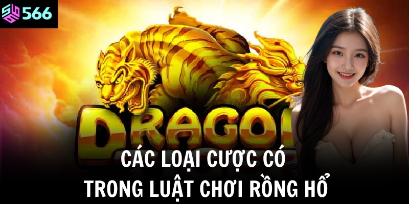 Các loại cược có trong luật chơi Rồng Hổ