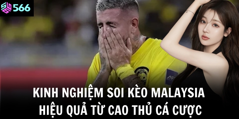 Kinh nghiệm soi kèo Malaysia hiệu quả từ cao thủ cá cược